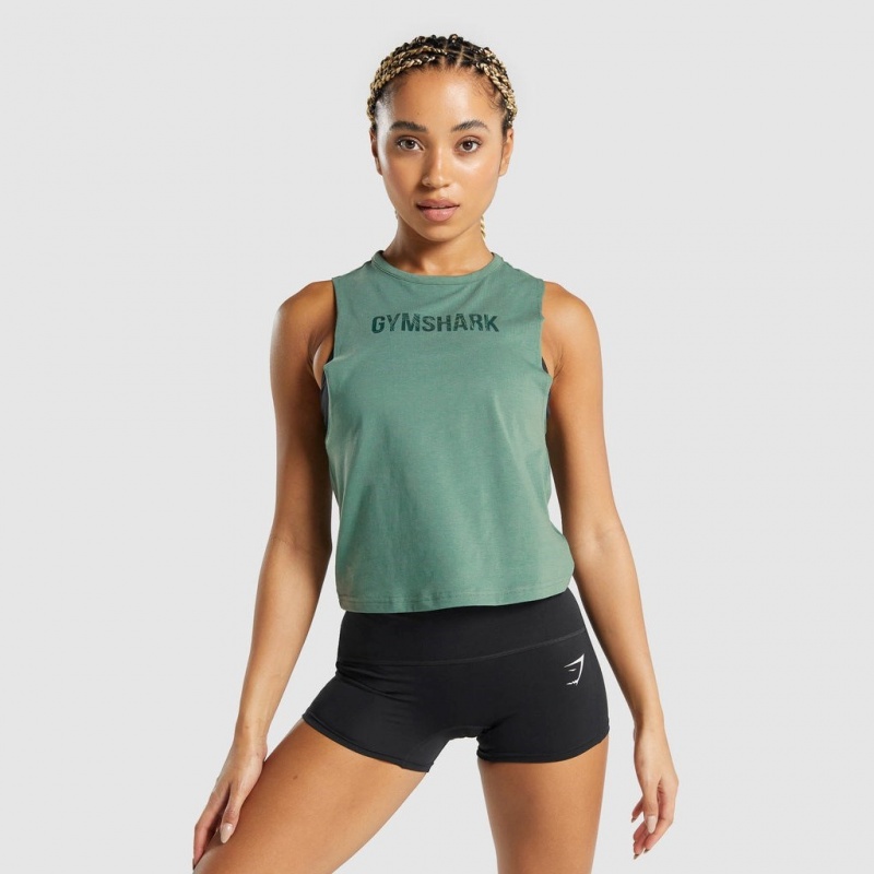 αμανικα μπλουζακια Gymshark GS Power πρασινο | 803PSHRZQ