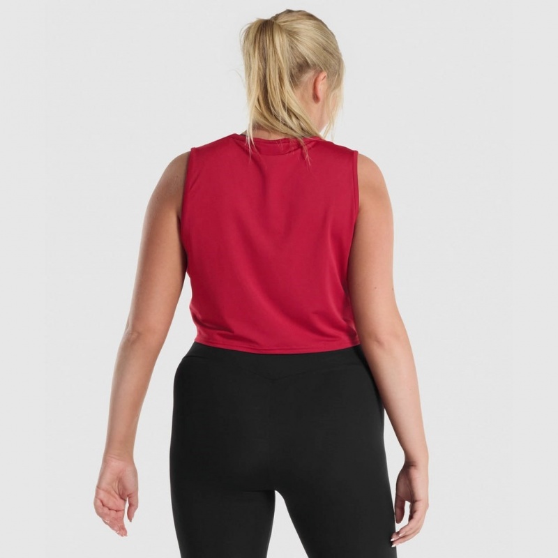 αμανικα μπλουζακια Gymshark Αθλητικά Crop μπορντο | 932RMIODT