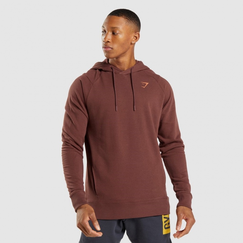 Φουτερ με Κουκουλα Gymshark Bold καφε | 689DGBMPY