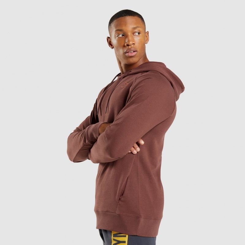 Φουτερ με Κουκουλα Gymshark Bold καφε | 689DGBMPY
