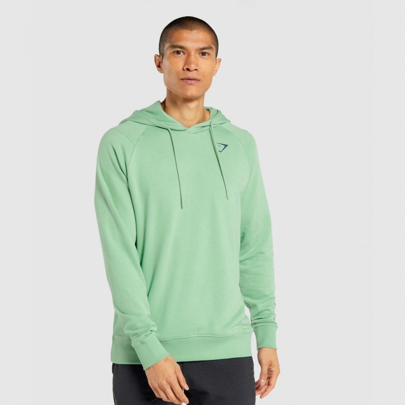 Φουτερ με Κουκουλα Gymshark Bold πρασινο | 901EUYWAO