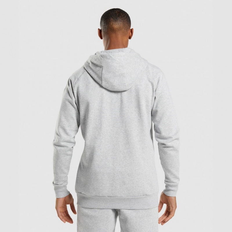Φουτερ με Κουκουλα Gymshark Crest Zip Up ανοιχτο γκρι | 749ICSFNA