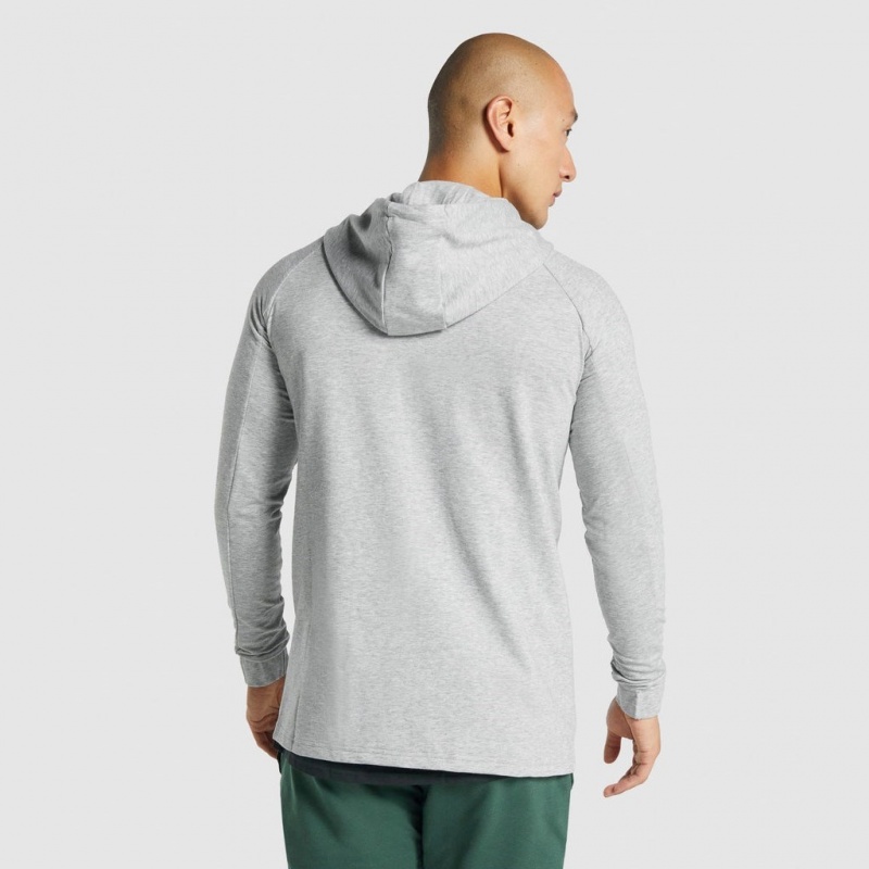 Φουτερ με Κουκουλα Gymshark Critical 2.0 Zip Up ανοιχτο γκρι | 451VRLUPQ