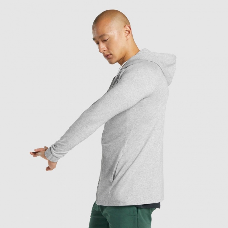 Φουτερ με Κουκουλα Gymshark Critical 2.0 Zip Up ανοιχτο γκρι | 451VRLUPQ