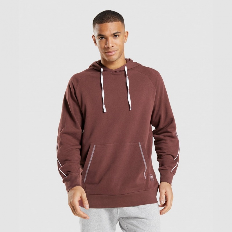 Φουτερ με Κουκουλα Gymshark Recess καφε ασπρα | 793EHFLBV