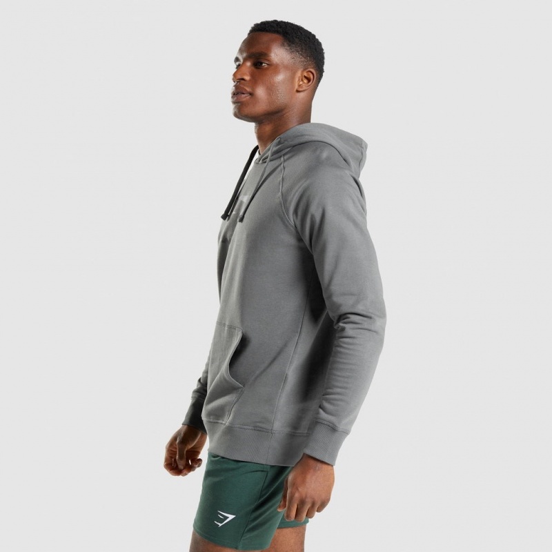 Φουτερ με Κουκουλα Gymshark Sharkhead Infill Charcoal | 956DKTRCU
