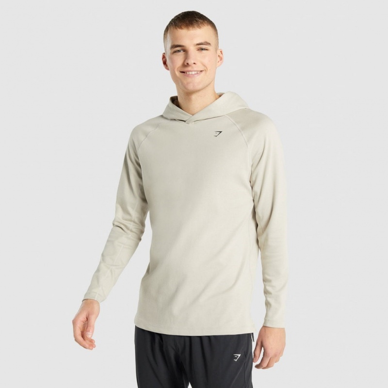 Φουτερ με Κουκουλα Gymshark Studio γκρι | 637JSTLQM