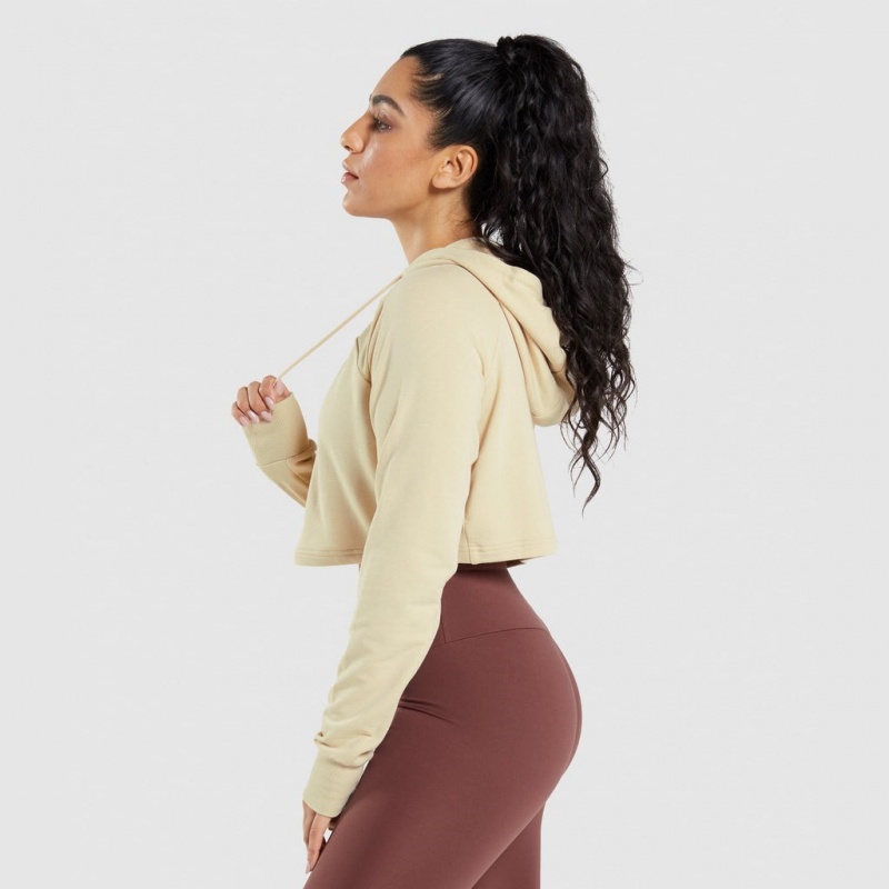 Φουτερ με Κουκουλα Gymshark Αθλητικά Cropped καφε | 458RTCPBQ