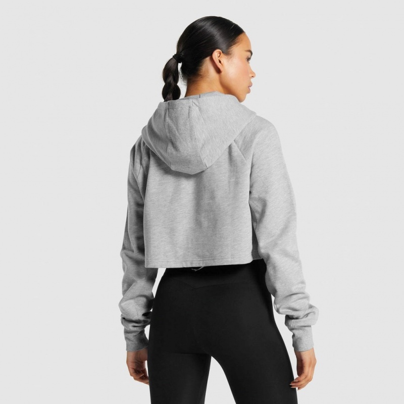 Φουτερ με Κουκουλα Gymshark Αθλητικά Cropped ανοιχτο γκρι | 587ELMOFA