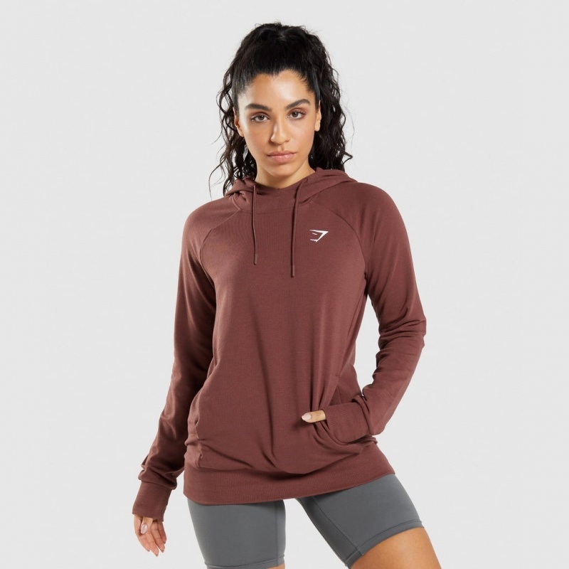 Φουτερ με Κουκουλα Gymshark Αθλητικά καφε | 230VJLMDT