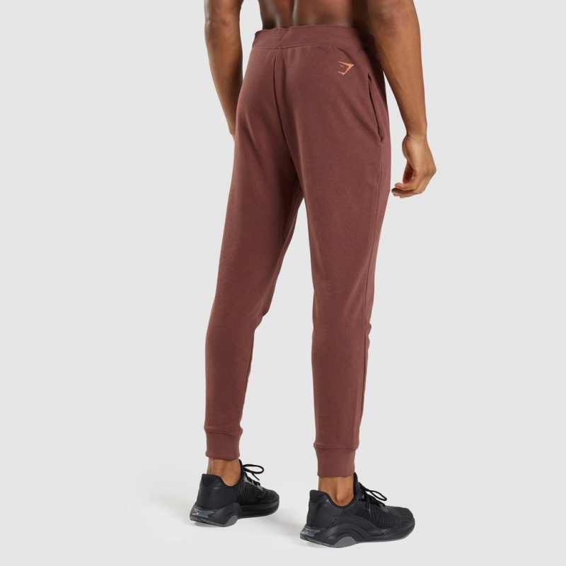 παντελονι jogger Gymshark Bold καφε | 702UHPRLS
