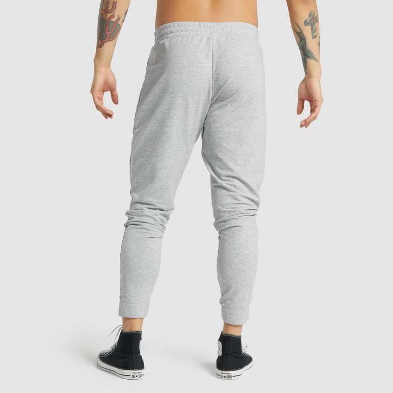 παντελονι jogger Gymshark Critical 2.0 ανοιχτο γκρι | 784UKDAEI